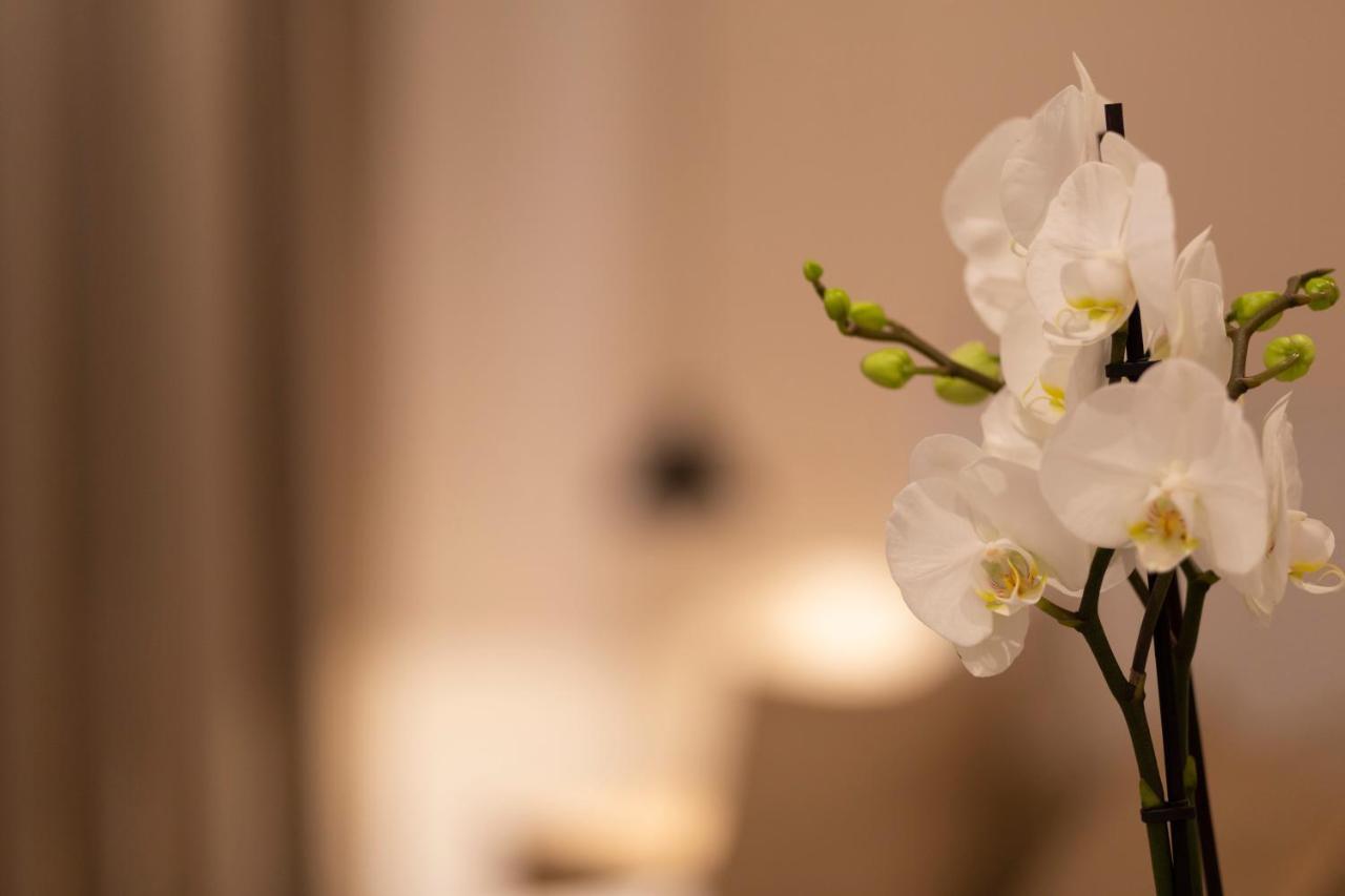 Room Boutique 32 德尼亚 外观 照片